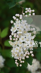 融盛保理25期逾期 融盛保理25期逾期