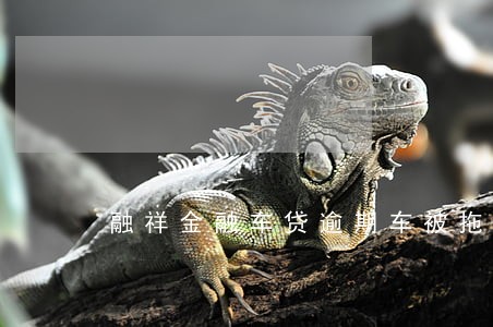 融祥金融车贷逾期车被拖走 融祥金融车贷逾期车被拖走