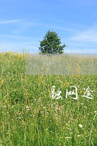 融网逾期2个月了怎么办 融网逾期2个月了怎么办
