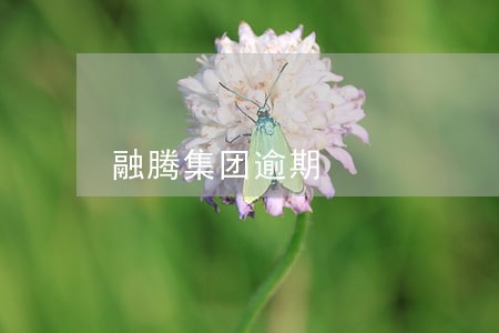 融腾集团逾期 融腾集团逾期
