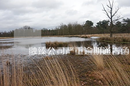融臻公司严重逾期通告函 融臻公司严重逾期通告函