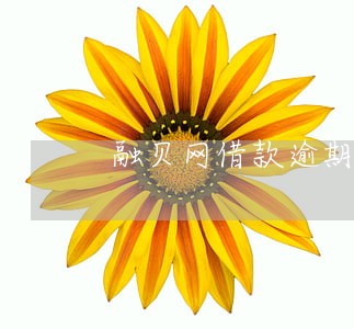 融贝网借款逾期怎么办
