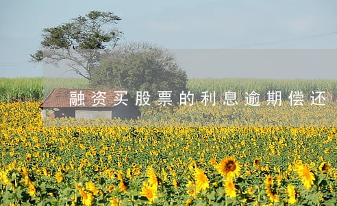 融资买股票的利息逾期偿还 融资买股票的利息逾期偿还