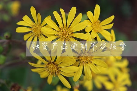 融资产品逾期不退报警 融资产品逾期不退报警