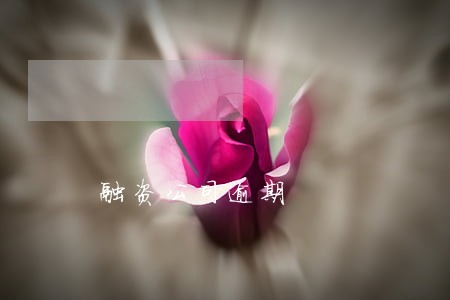 融资公司逾期 融资公司逾期