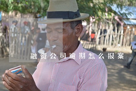 融资公司逾期怎么报案