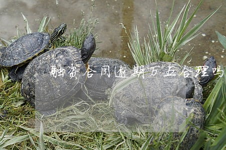 融资合同逾期万五合理吗 融资合同逾期万五合理吗