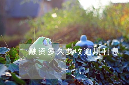 融资多久要收逾期利息 融资多久要收逾期利息