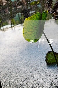 融资多长时间交逾期利息 融资多长时间交逾期利息