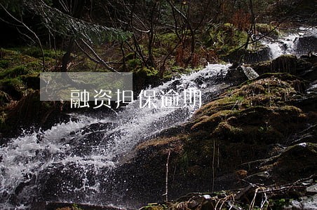 融资担保逾期 融资担保逾期