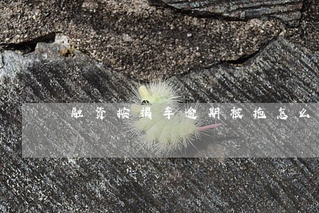 融资按揭车逾期被拖怎么办 融资按揭车逾期被拖怎么办