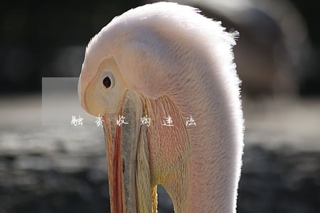 融资收购违法