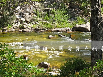 融资租入固定资产利息逾期 融资租入固定资产利息逾期