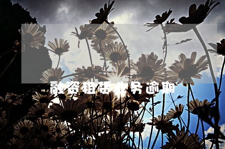 融资租赁业务逾期 融资租赁业务逾期