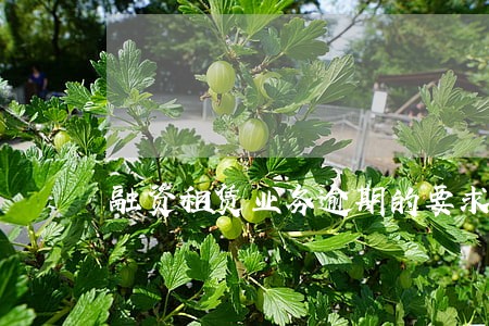 融资租赁业务逾期的要求 融资租赁业务逾期的要求
