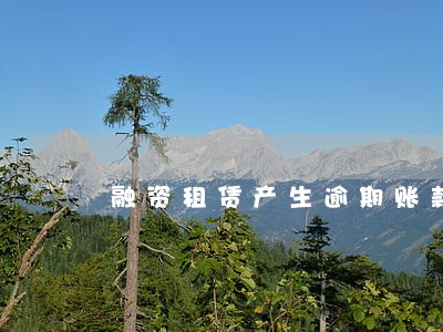 融资租赁产生逾期账款的原因 融资租赁产生逾期账款的原因