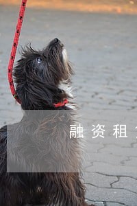 融资租赁公司客户逾期 融资租赁公司客户逾期