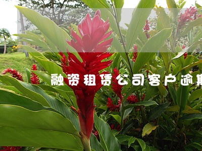 融资租赁公司客户逾期催收 融资租赁公司客户逾期催收