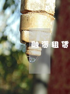 融资租赁公司租金逾期率 融资租赁公司租金逾期率