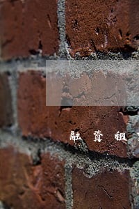 融资租赁公司逾期不扣款 融资租赁公司逾期不扣款