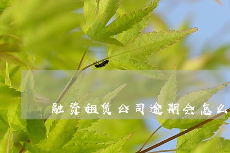 融资租赁公司逾期会怎么做