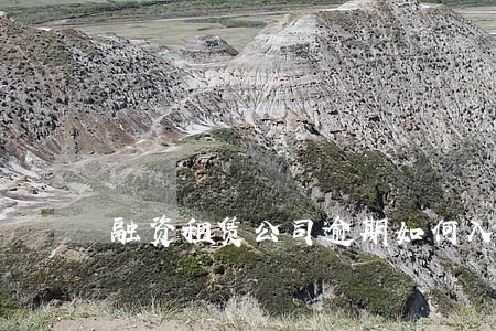融资租赁公司逾期如何入账 融资租赁公司逾期如何入账