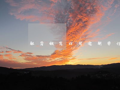 融资租赁公司逾期率计算 融资租赁公司逾期率计算