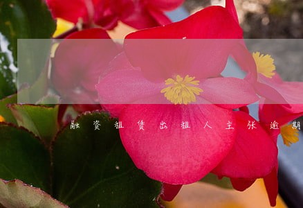 融资租赁出租人主张逾期租金期限 融资租赁出租人主张逾期租金期限