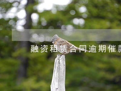 融资租赁合同逾期催款通知书 融资租赁合同逾期催款通知书