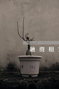融资租赁合同逾期利率上限 融资租赁合同逾期利率上限