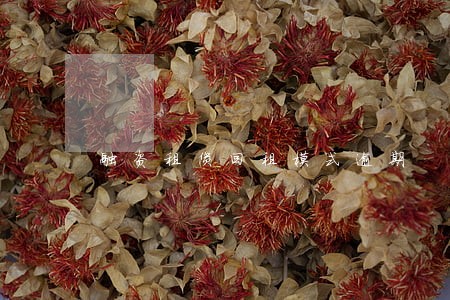 融资租赁回租模式逾期 融资租赁回租模式逾期