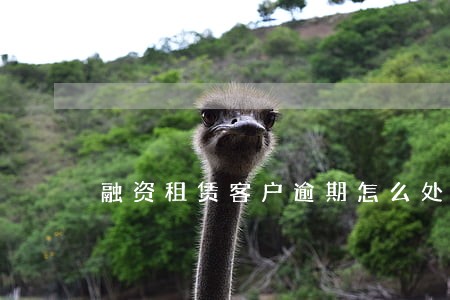 融资租赁客户逾期怎么处理 融资租赁客户逾期怎么处理