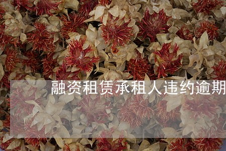 融资租赁承租人违约逾期怎么办 融资租赁承租人违约逾期怎么办
