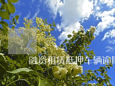 融资租赁抵押车辆逾期收车 融资租赁抵押车辆逾期收车