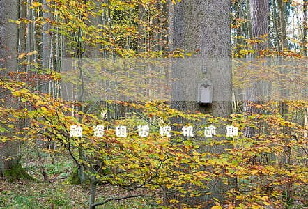 融资租赁挖机逾期 融资租赁挖机逾期