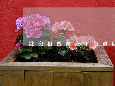 融资租赁政府平台逾期 融资租赁政府平台逾期