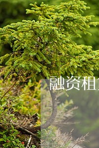 融资租赁有逾期 融资租赁有逾期