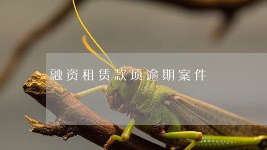 融资租赁款项逾期案件 融资租赁款项逾期案件