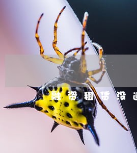 融资租赁没逾期征信上没有 融资租赁没逾期征信上没有