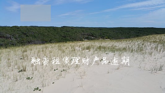 融资租赁理财产品逾期 融资租赁理财产品逾期