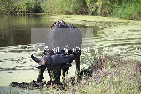 融资租赁的租赁逾期率怎么计算 融资租赁的租赁逾期率怎么计算