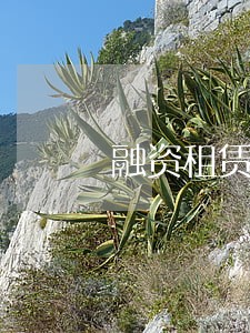 融资租赁的逾期利息计算 融资租赁的逾期利息计算