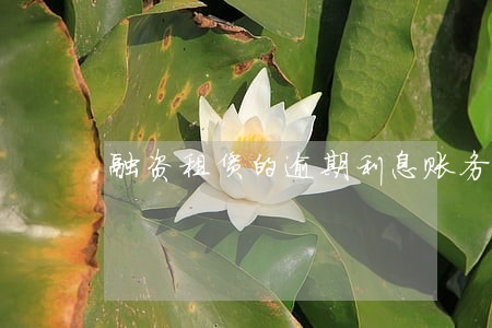 融资租赁的逾期利息账务处理 融资租赁的逾期利息账务处理