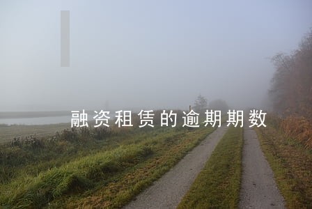 融资租赁的逾期期数 融资租赁的逾期期数