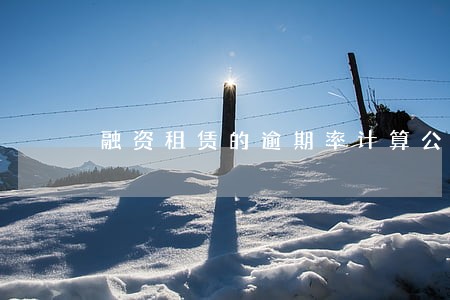 融资租赁的逾期率计算公式 融资租赁的逾期率计算公式