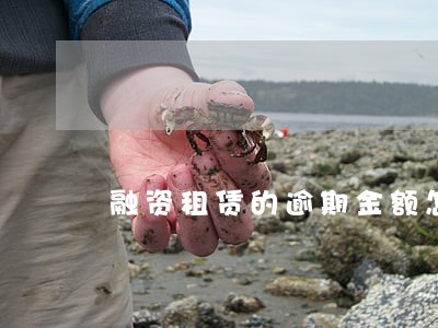 融资租赁的逾期金额怎么算 融资租赁的逾期金额怎么算