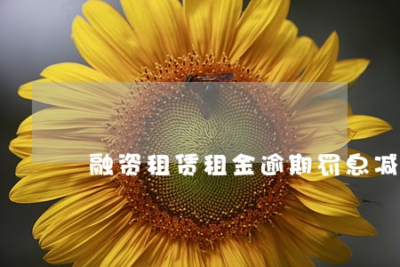 融资租赁租金逾期罚息减免 融资租赁租金逾期罚息减免