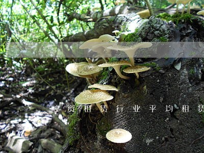 融资租赁行业平均租赁逾期率 融资租赁行业平均租赁逾期率