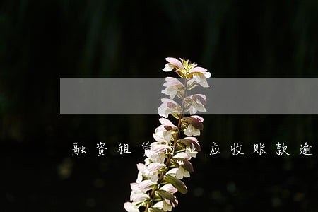 融资租赁行业应收账款逾期 融资租赁行业应收账款逾期