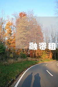 融资租赁行业的逾期率公式 融资租赁行业的逾期率公式